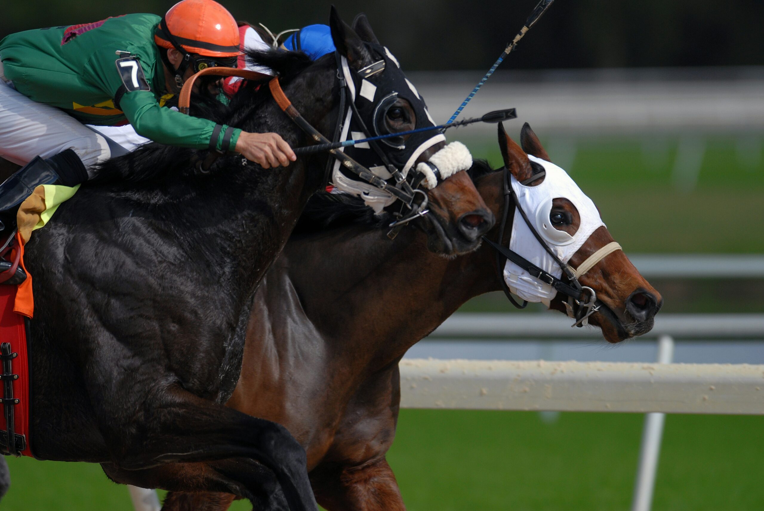 Two racehorses compete fiercely, showcasing the spirit of modernisation.